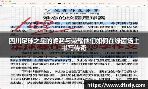 四川足球之星的崛起与荣耀他们如何在绿茵场上书写传奇